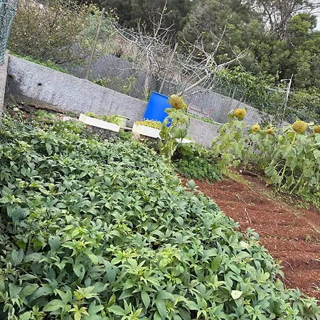 Casa Do Sol בית נופש *