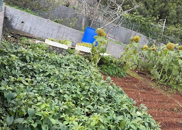 Casa Do Sol Prázdninový dům *